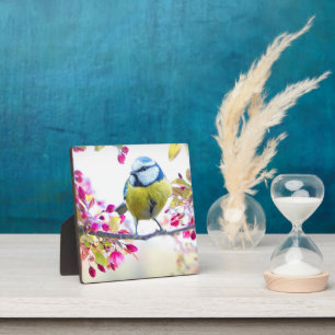 Pretty Blue & Yellow Bird on a Branch Photograph Plaque