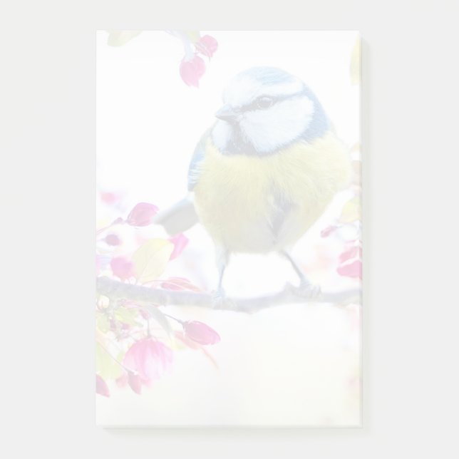 Pretty Blue & Yellow Bird on a Branch Photograph Post-it Notes (Front)