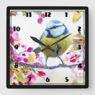 Pretty Blue & Yellow Bird on a Branch Photograph Square Wall Clock
