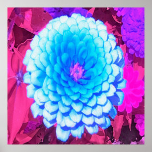 Pretty Blue Zinnia in the Purple Summer Garden Poster