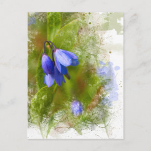 Pretty bluebells on white postcard