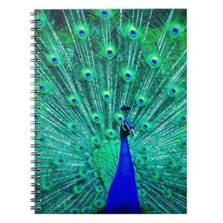 Pretty BlueTeal Peacock bird Modern trendy pattern Notebook