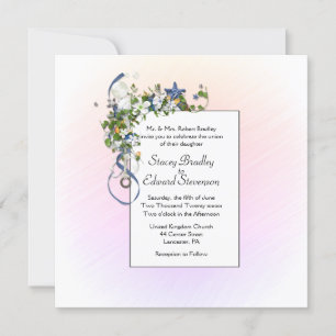 Pretty Blush Ribbons and Bubbles Invitation