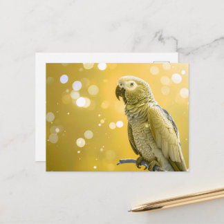 Pretty Bokeh African Grey Postcard