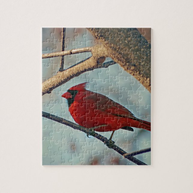 Pretty Boy Male Cardinal Jigsaw Puzzle (Vertical)