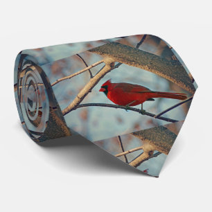 Pretty Boy Male Cardinal Tie