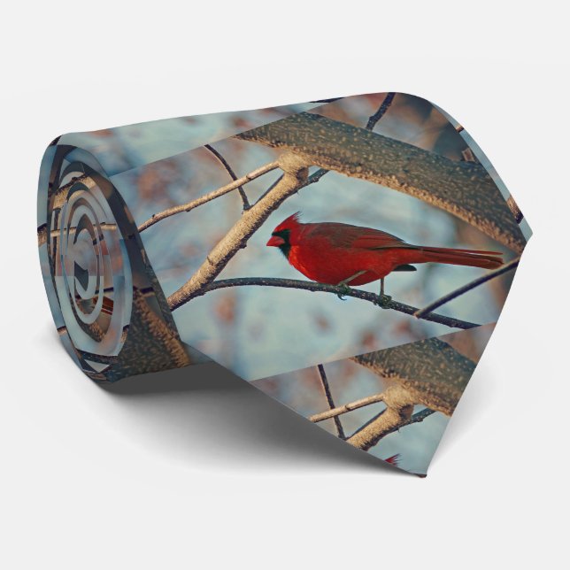 Pretty Boy Male Cardinal Tie (Rolled)