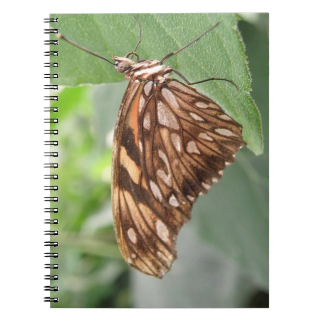 Pretty Brown Butterfly Notebook (Front)