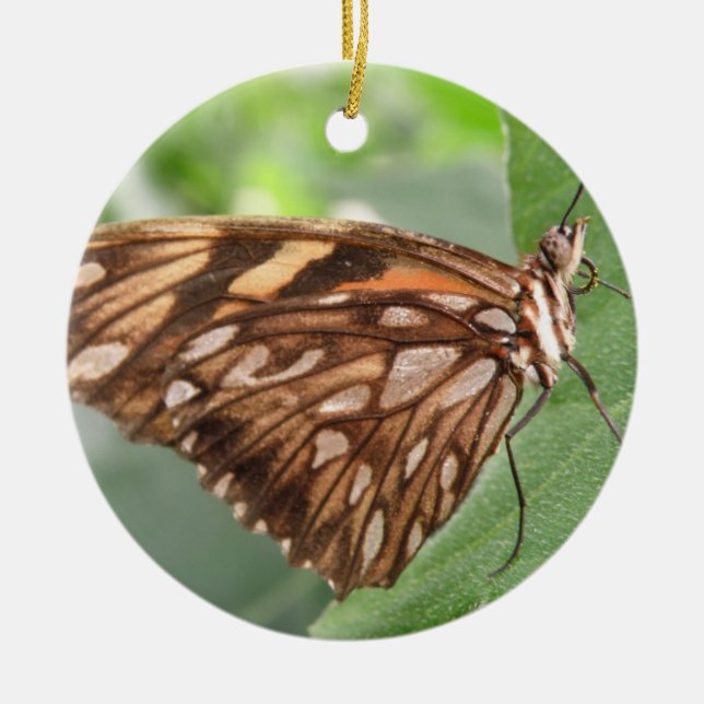 Pretty Brown Butterfly Ornament (Front)