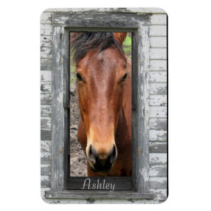 Pretty Brown Horse, Customise name Magnet