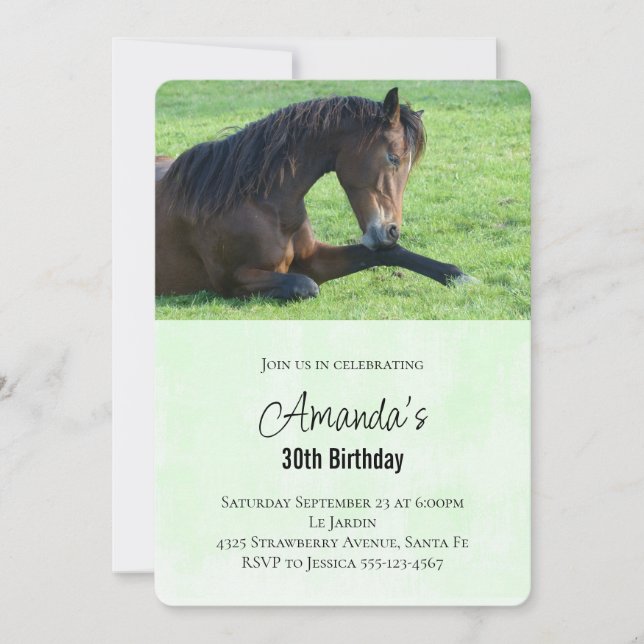 Pretty Brown Horse Laying in the Grass Birthday Invitation (Front)