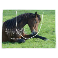 Pretty Brown Horse Laying in the Grass Birthday