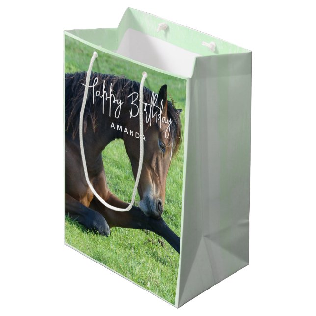 Pretty Brown Horse Laying in the Grass Birthday Medium Gift Bag (Front Angled)