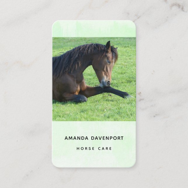 Pretty Brown Horse Laying in the Grass Business Card (Front)