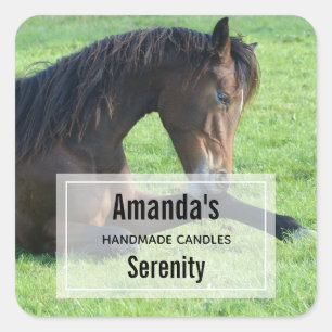 Pretty Brown Horse Laying in the Grass Candle Biz Square Sticker