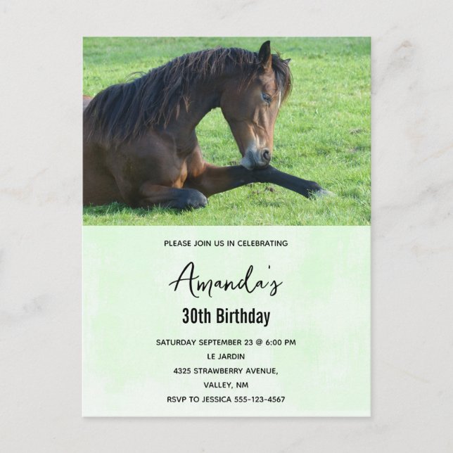 Pretty Brown Horse Laying in the Grass Invitation Postcard (Front)