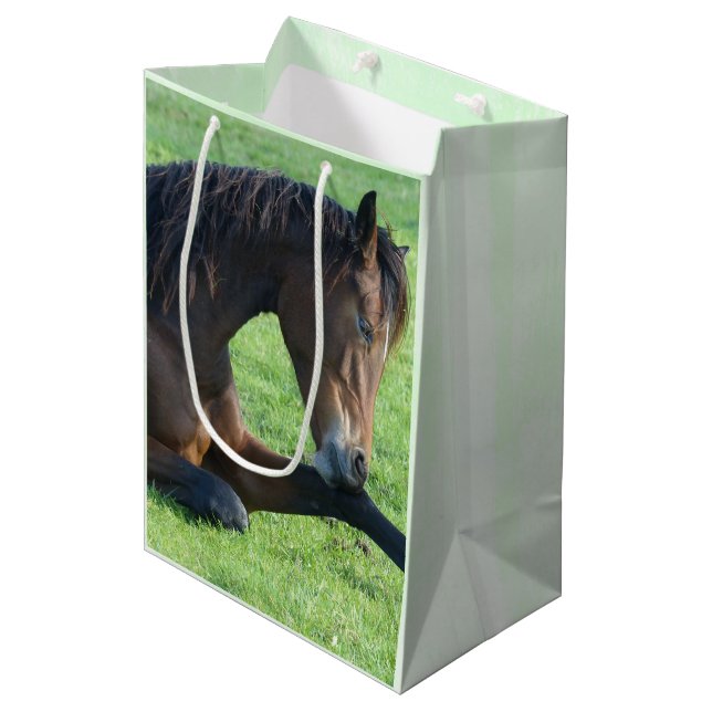 Pretty Brown Horse Laying in the Grass Medium Gift Bag (Front Angled)