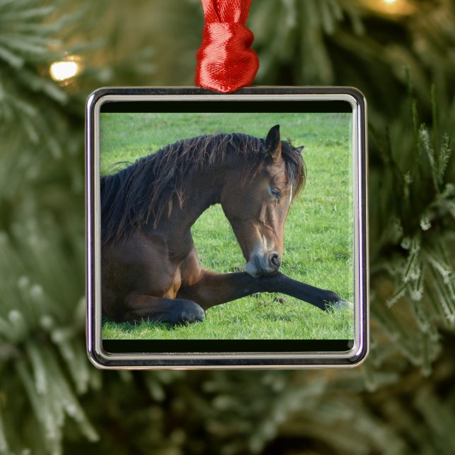 Pretty Brown Horse Laying in the Grass Metal Ornament (Tree)