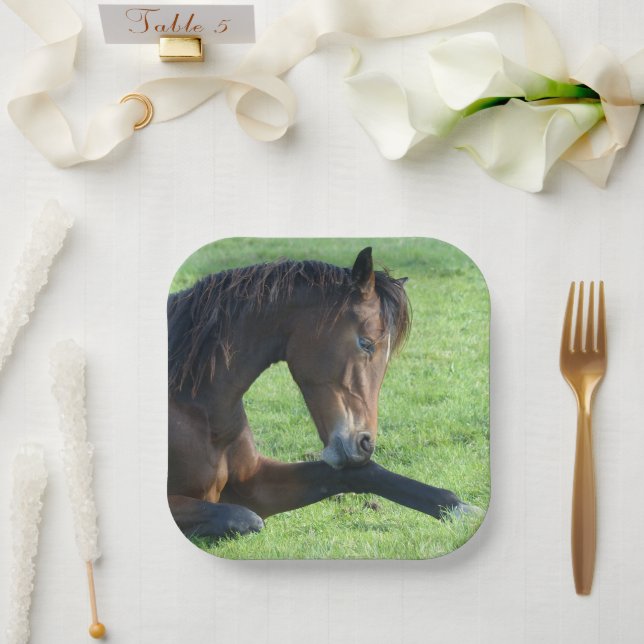 Pretty Brown Horse Laying in the Grass Paper Plate (Wedding)