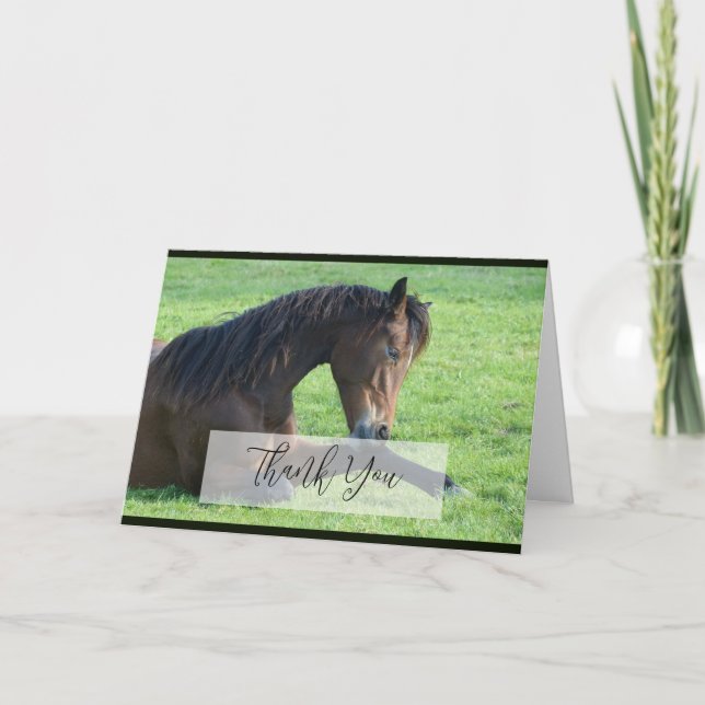 Pretty Brown Horse Laying in the Grass Thank You Card (Front)