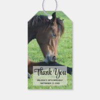 Pretty Brown Horse Laying in the Grass Thank You
