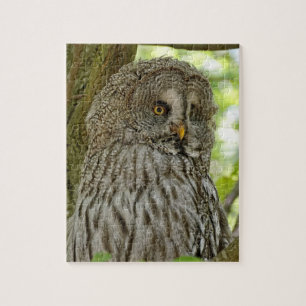Pretty Brown Owl Jigsaw Puzzle
