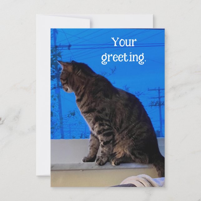 Pretty Brown Tabby Cat Custom Greeting Cards (Front)