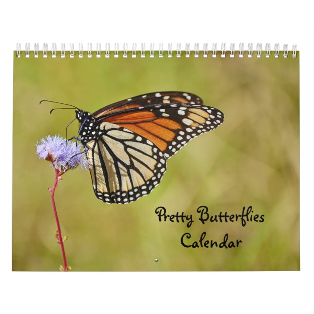 Pretty Butterflies Butterfly Calendar (Cover)
