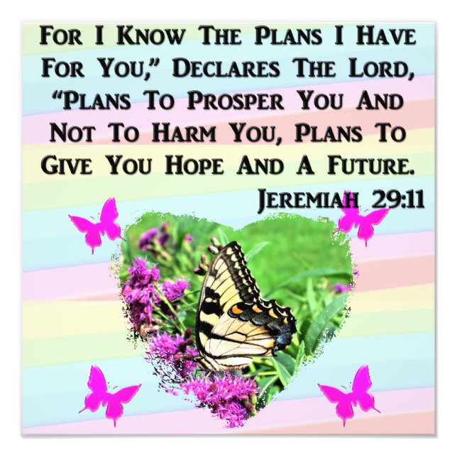 PRETTY BUTTERFLY JEREMIAH 29:11 PHOTO PRINT (Front)