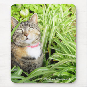 Pretty Calico Cat Mousepad