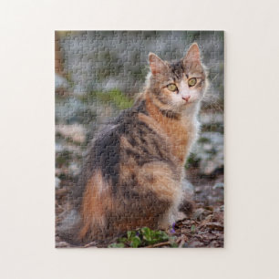 Pretty Calico Kitty Cat Jigsaw Puzzle