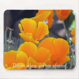 Pretty California Poppies with Quote Mouse Pad