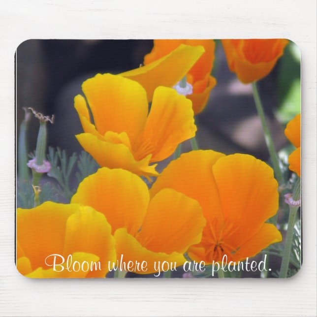 Pretty California Poppies with Quote Mouse Pad (Front)