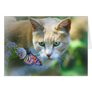 Pretty Cat and Butterfly Just Saying Hi Card