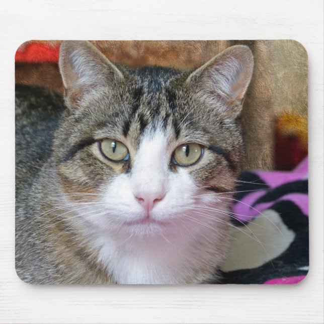 Pretty Cat Mouse Pad (Front)