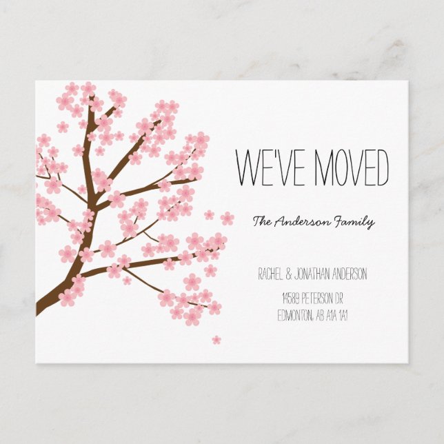 Pretty Cherry Blossoms Sakura Tree We've Moved Postcard (Front)