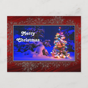 Pretty Christmas Tree Lights Snow Photo Christmas Postcard