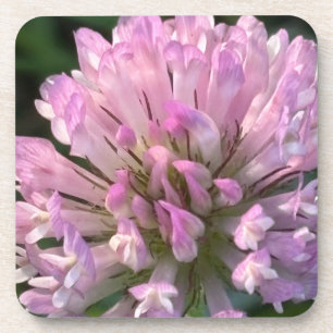 Pretty Clover Flower Coaster