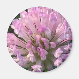 Pretty Clover Flower Magnet