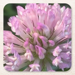 Pretty Clover Flower Square Paper Coaster