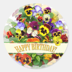 Pretty Colourful Pansy Display Birthday Classic Round Sticker