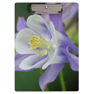 Pretty Columbine Flower Clipboard