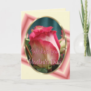 Pretty Coral Bi-color Rose2- any occasion Card