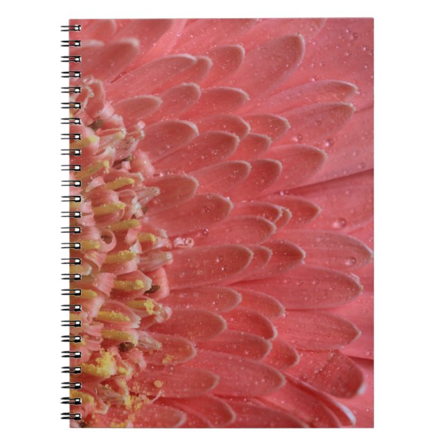 Pretty Coral Pink Gerbera Daisy Notebook (Front)