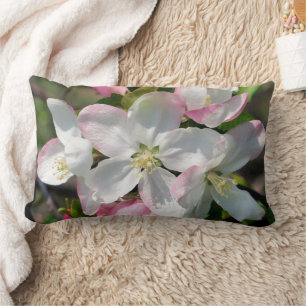 Pretty Crabapple Spring Flower Blossoms Close Up Lumbar Cushion
