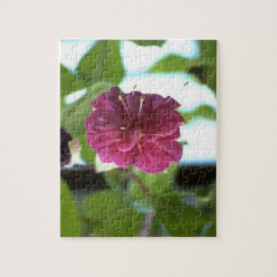 Pretty  Dahlia Flower Jigsaw Puzzle