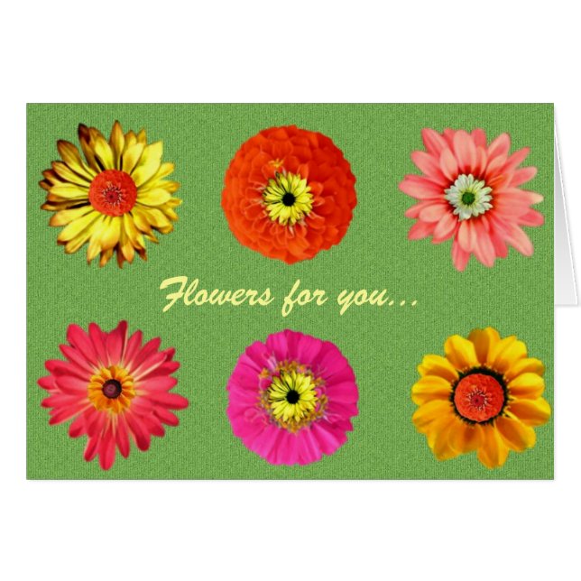 Pretty Daisies (Front Horizontal)