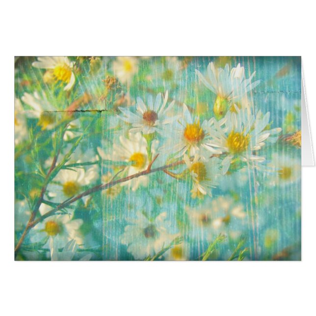 Pretty Daisies, Happy Birthday! (Front Horizontal)