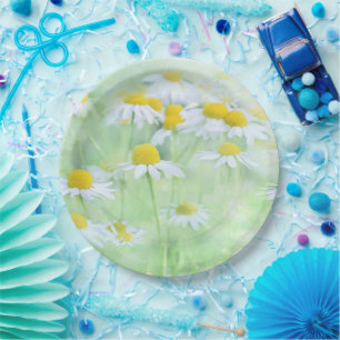 Pretty Daisies in a Field Paper Plate