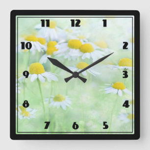 Pretty Daisies in a Field Photograph on a Square Wall Clock